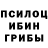 Псилоцибиновые грибы мицелий 11.1